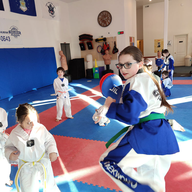 Pupils at the Ravalli County Taekwondo School Pupils at the Ravalli County Taekwondo School