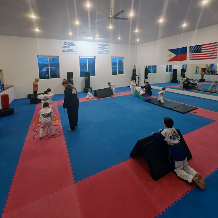 The Ravalli County Taekwondo School The Ravalli County Taekwondo School